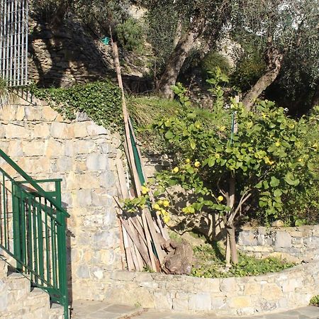 Casa Laura Villa Zoagli Bagian luar foto
