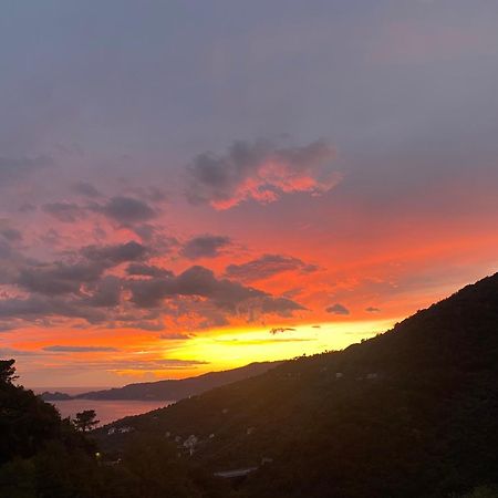 Casa Laura Villa Zoagli Bagian luar foto