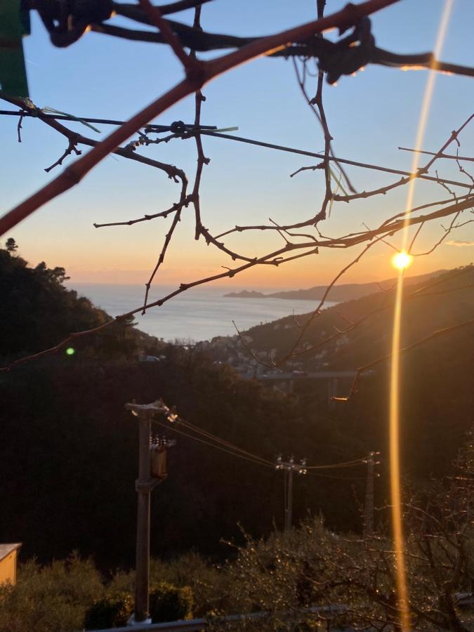 Casa Laura Villa Zoagli Bagian luar foto
