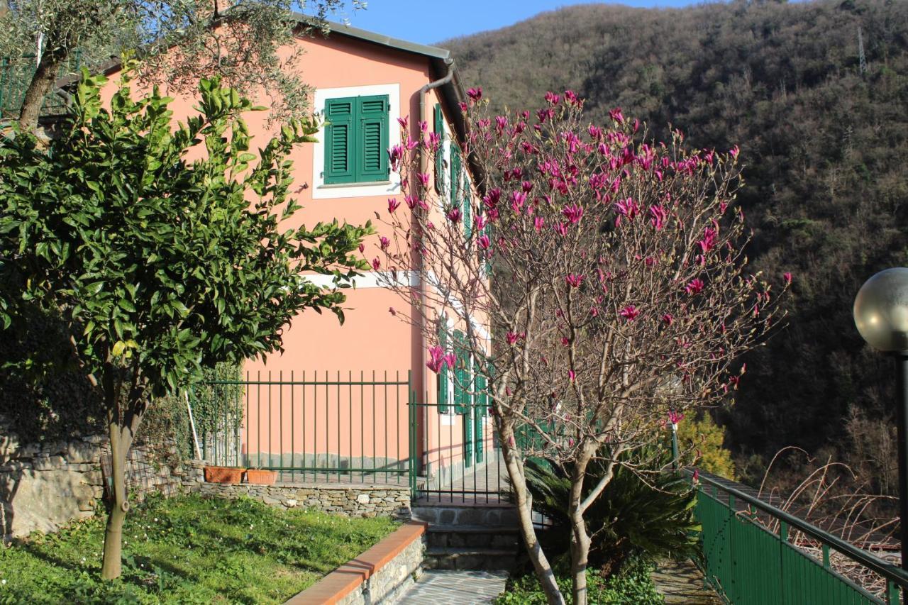 Casa Laura Villa Zoagli Bagian luar foto
