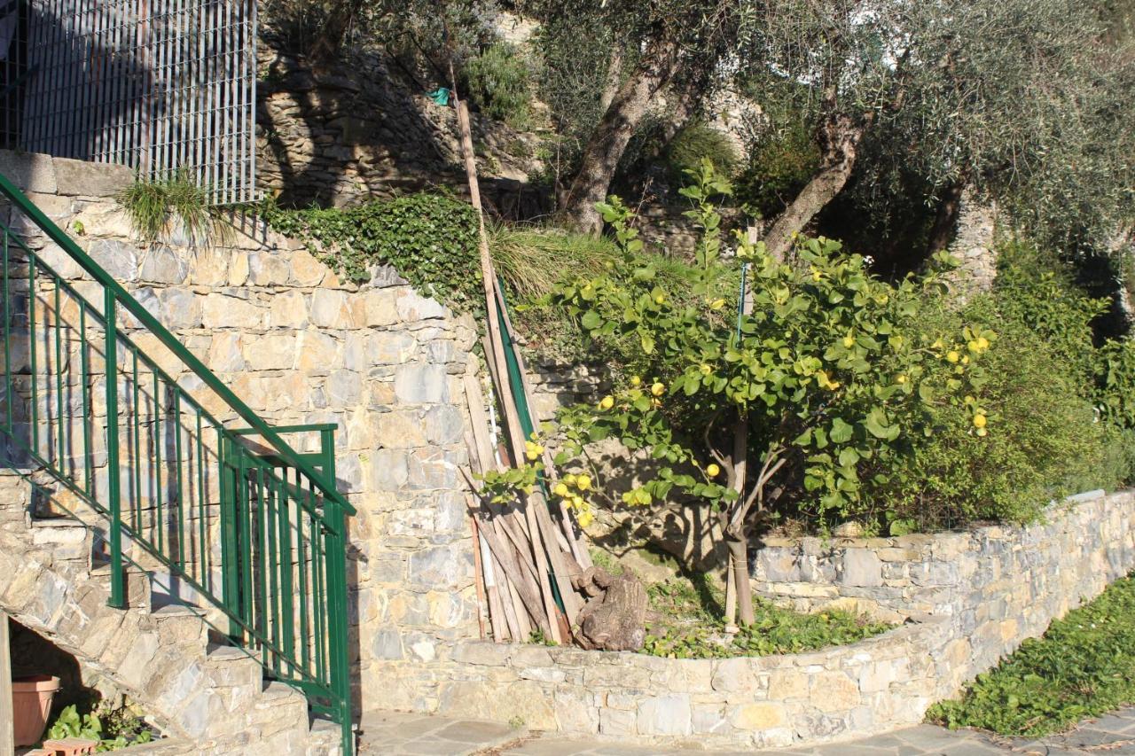 Casa Laura Villa Zoagli Bagian luar foto