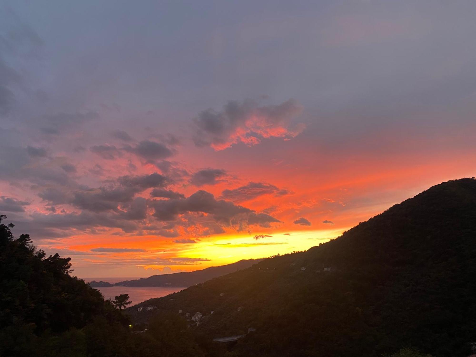 Casa Laura Villa Zoagli Bagian luar foto